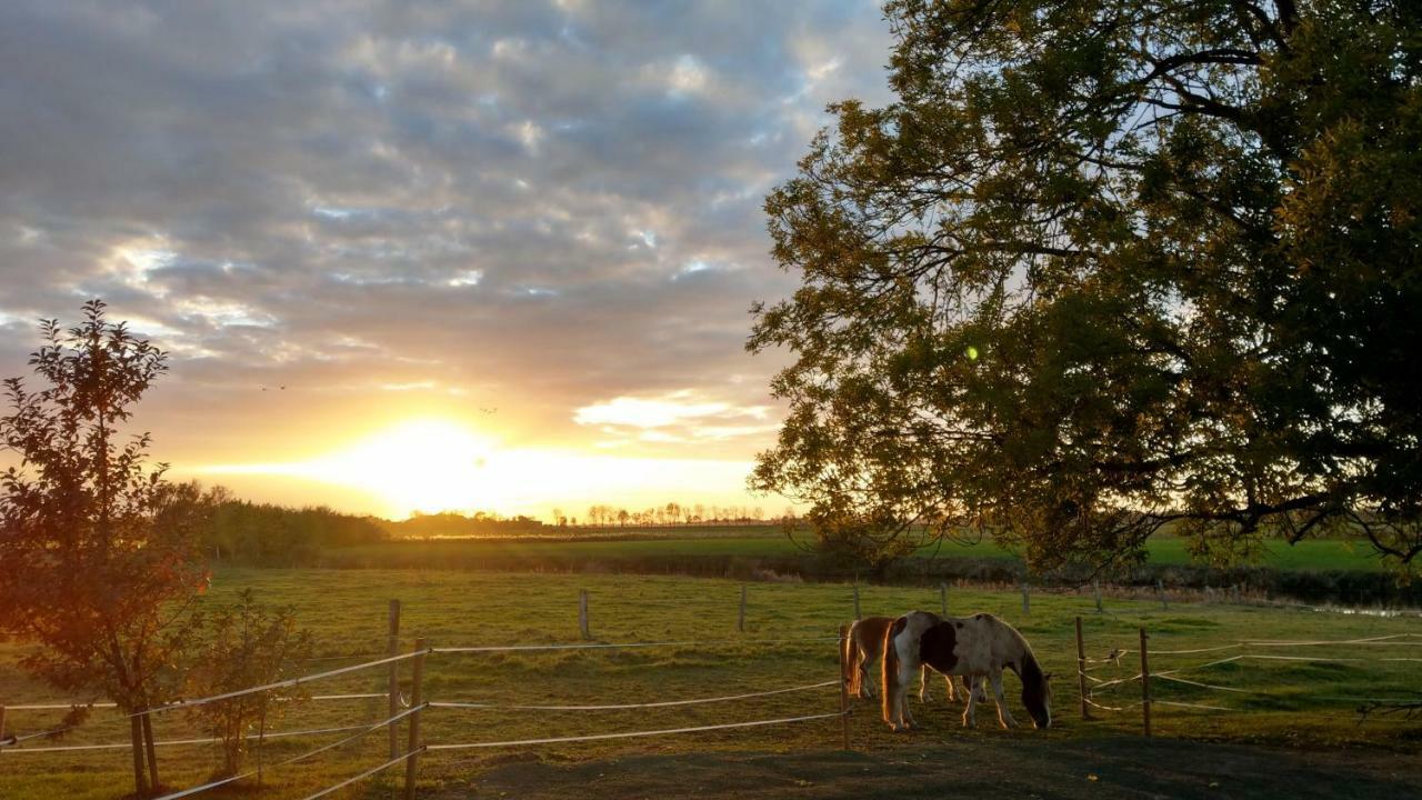 Im Stall Lune River Ranch Appartement Loxstedt